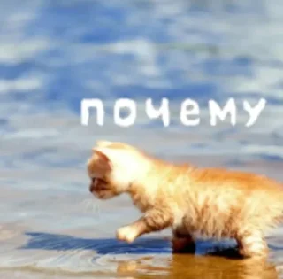 Sticker from пушистые уебки