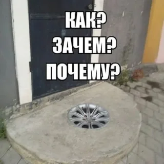 🤔 emoji УНИТАЗЫ ТАЛДЫКА Telegram sticker 18 of 64