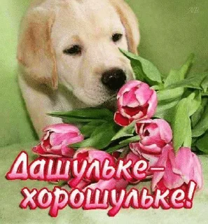 🌟 emoji даблдашс фав Telegram sticker 22 of 60