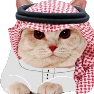 🐈 emoji Shitposting and More @Medpack Telegram sticker 20 of 119