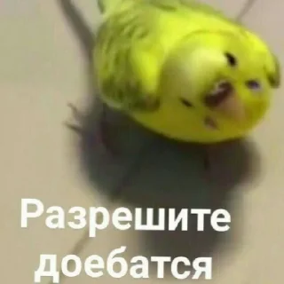 😄 emoji Бывает Telegram sticker 19 of 60