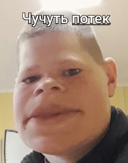 🌟 emoji Дурдом Telegram sticker 17 of 32