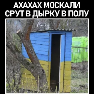 🚽 emoji Зеля Хуйло Telegram sticker 22 of 30