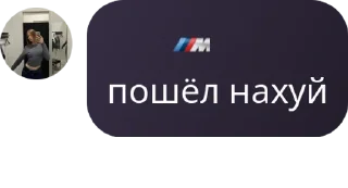 😽 emoji russiaxv Telegram sticker 22 of 41