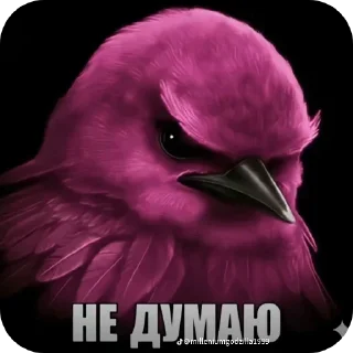 🐦 emoji Птичка вряд ли Telegram sticker 6 of 91