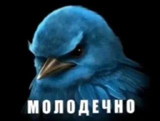 🤩 emoji Вряд-ли @ckladstikerov7 Telegram sticker 10 of 120
