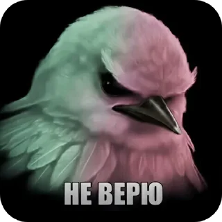 Sticker from Птичка вряд ли
