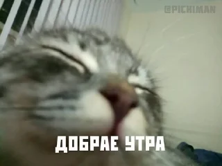 💗 emoji с добрым утром на каждый день Telegram sticker 7 of 15