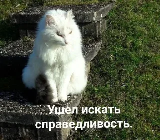 Sticker from Юн.