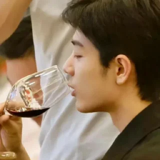 🍷 emoji xiao zhan Telegram sticker 11 of 21