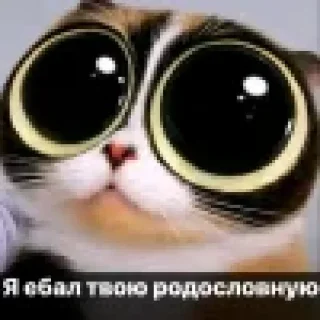 Sticker from куки | @sensforme