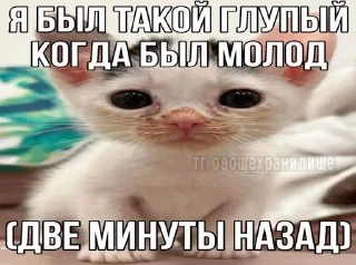 Sticker from китики