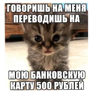 🐱 emoji котеки Telegram sticker 9 of 25
