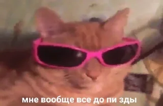 🌟 emoji Лопай попай Telegram sticker 10 of 62