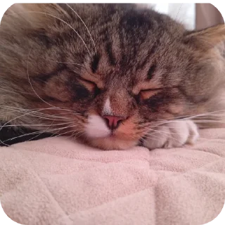 👍 emoji Житєве Telegram sticker 6 of 53