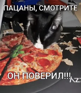 🌟 emoji Шизомемы @fStikBot Telegram sticker 8 of 75