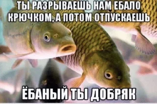 🌟 emoji Шизомемы @fStikBot Telegram sticker 6 of 75