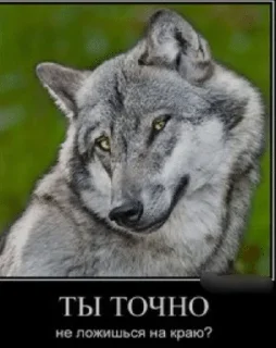 🌟 emoji Шизомемы @fStikBot Telegram sticker 12 of 75