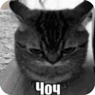 👍 emoji Хз рандом стикеры Telegram sticker 13 of 40