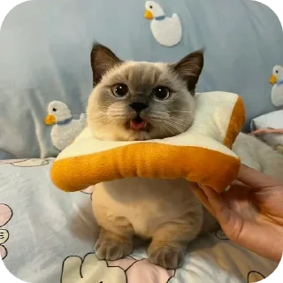 👍 emoji Хз рандом стикеры Telegram sticker 7 of 40