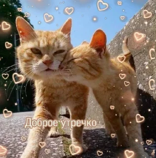 😍 emoji SeleErrorSpams Telegram sticker 17 of 120