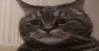 😔 emoji 🌚 @CloobHub • @Earth928B 🌝 Memes Meme Мемы Мем Telegram sticker 6 of 118