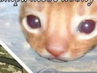 🥺 emoji літо у бабусі Telegram sticker 7 of 118