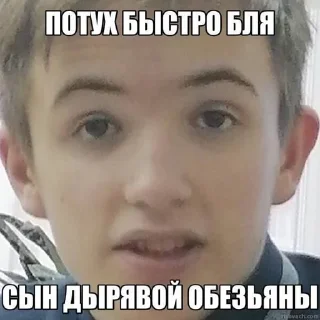 🌟 emoji Дыня 🇺🇦 Telegram sticker 10 of 26