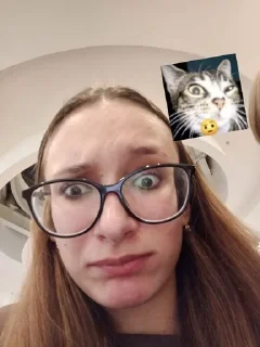 🤨 emoji далбаебы из семейки Telegram sticker 22 of 49