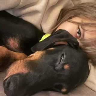 🌟 emoji lisa bp,bs →fr:@slikeri_kpop Telegram sticker 6 of 73