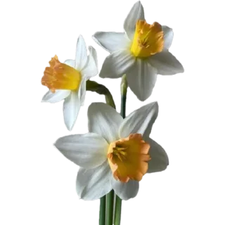 🌟 emoji 🌷🌿『Цветочки 』🍃💐 Telegram sticker 6 of 25