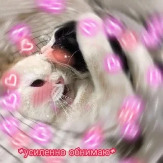 💗 emoji милота💗 Telegram sticker 11 of 55