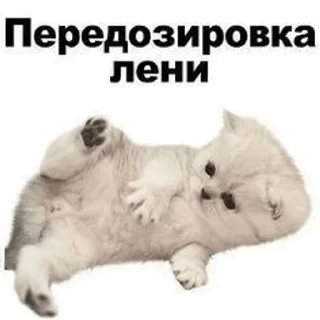 😷 emoji эщкере Telegram sticker 11 of 46