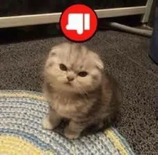 👎 emoji чё захуйня Telegram sticker 15 of 120