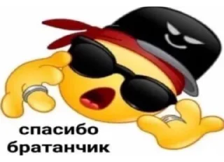 🤙 emoji мы нормальные Telegram sticker 2 of 65