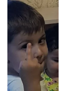 🖕 emoji мы нормальные Telegram sticker 3 of 65