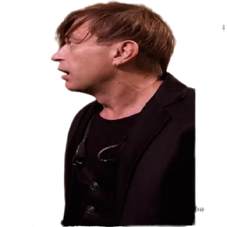 😦 emoji Лёвчик из Би-2 Telegram sticker 17 of 34