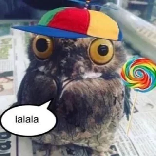 😄 emoji обожаю этого админа.... Telegram sticker 16 of 67
