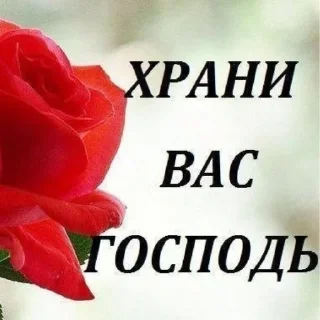 👼 emoji время помолиться Telegram sticker 9 of 35