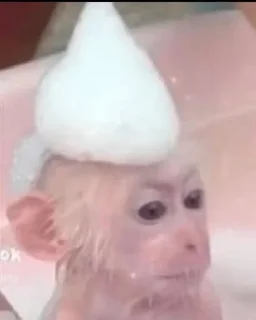 🛁 emoji Мавп'ятки чі чі чі Telegram sticker 4 of 62
