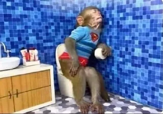 🚽 emoji Мавп'ятки чі чі чі Telegram sticker 13 of 62