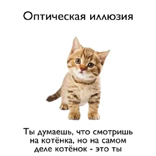 Sticker from тянк