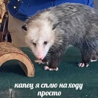 🥱 emoji хлебные крошки Telegram sticker 6 of 116