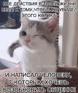 😉 emoji @bezzachitnui автор➡️ @djieo Telegram sticker 6 of 28