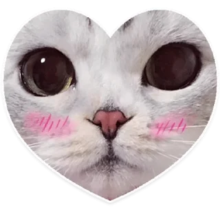 ❤ emoji Пирожковоя Telegram sticker 14 of 70