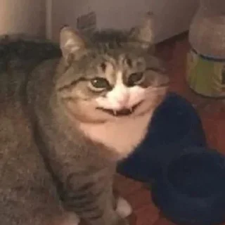 😤 emoji Пирожковоя Telegram sticker 17 of 70