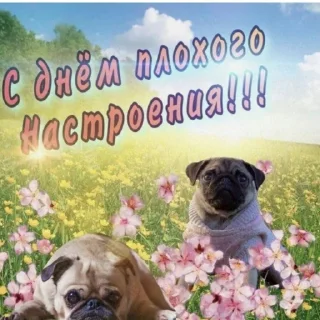 😔 emoji Мемная история | @folderformems Telegram sticker 23 of 95