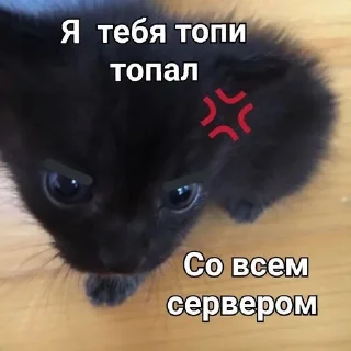 Sticker from ТОПИ ТОПП
