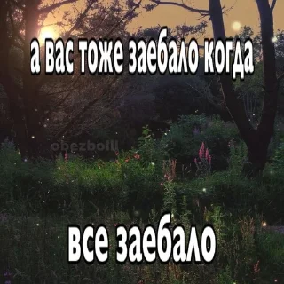 🌟 emoji я вахуи, честно Telegram sticker 19 of 83