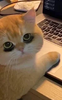 🌟 emoji этопиздец Telegram sticker 12 of 120